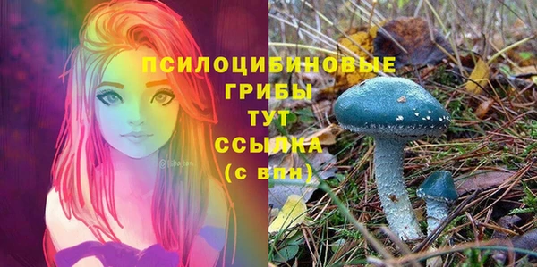 мяу мяу мука Протвино