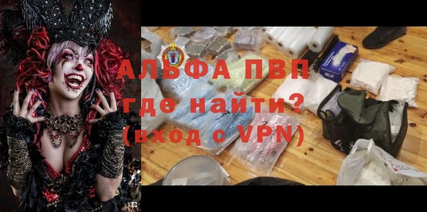 Альфа ПВП Белая Холуница