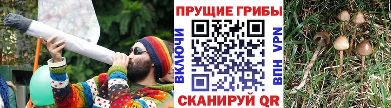Галлюциногенные грибы GOLDEN TEACHER  mega ТОР  Вичуга 