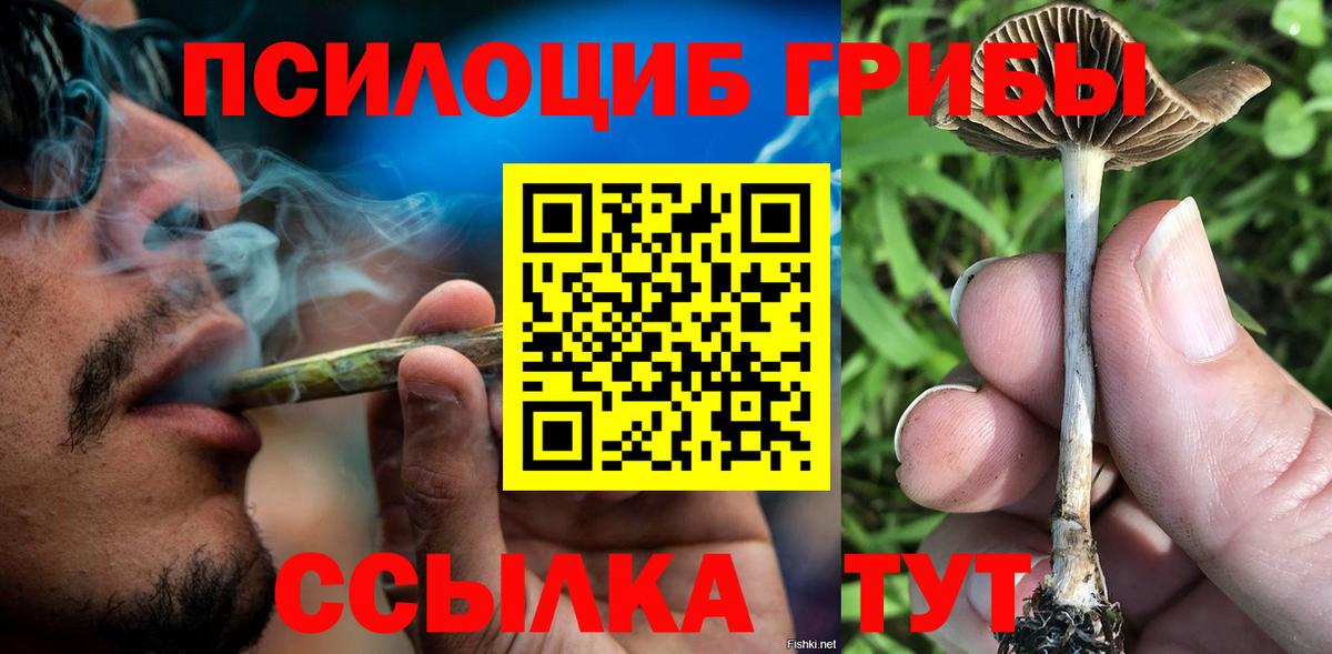 Псилоцибиновые грибы мицелий Вичуга