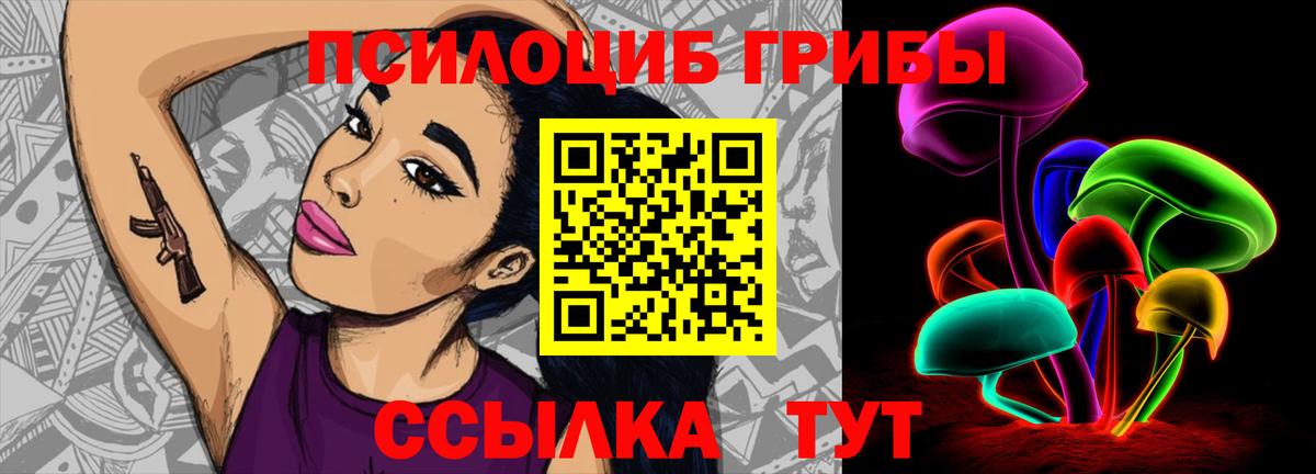 Псилоцибиновые грибы MAGIC MUSHROOMS  Вход с VPN  Вичуга 